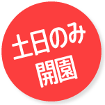 さくらんぼ園せきぐち さくらんぼ狩り 山梨 【関口農園】 料金について 料金表